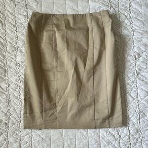 Ann Taylor Pencil Skirt